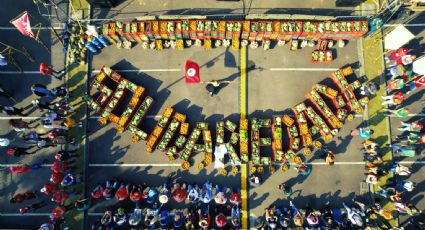 Comida, não commodity: agricultores familiares e especialistas apontam caminhos para Brasil sair do Mapa da Fome