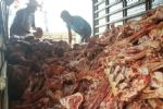 Fome, a nova emergência nacional – Por Alexandre Padilha