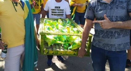 Bolsonaristas pintam pombos de verde e amarelo na Marcha para Jesus em Vitória