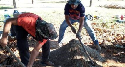 Pedro Guimarães: Caixa pagou obras na mansão em que ex-presidente mora em Brasília