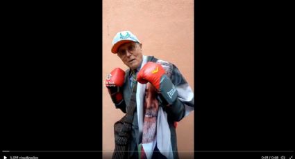 VÍDEO: Suplicy estreia no Tik Tok com luvas de boxe, toalha do Lula e bom humor