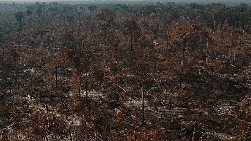 Área de desmatamento e queimada e vista as margens da rodovia BR 230 no município de Apuí, Amazonas. Foto: Bruno Kelly/Amazônia Real/09/08/2020)