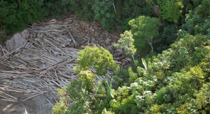 Brasil de Bolsonaro: Parlamento Europeu aprova sanções por devastação ambiental