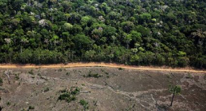 Um retrato do Bolsonarismo na Amazônia: “Muita gente tem medo de sofrer agressões políticas”