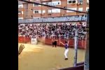 VÍDEO: Touro sobe em arquibancada e mata homem na Espanha com chifrada no peito