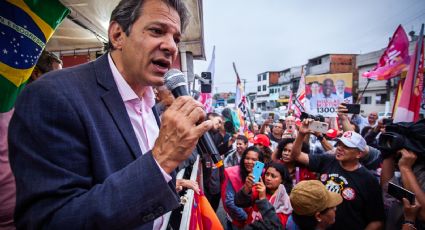 Datafolha em SP: Haddad cresce e se mantém na liderança; Tarcísio se distancia de Garcia