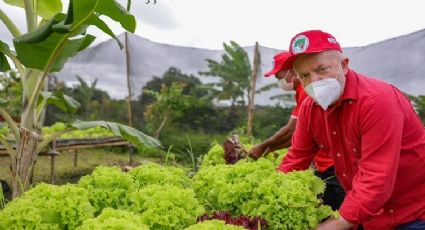 Governo Lula: Parceiro da Agricultura Familiar - Por Jacques Pena e Kleytton Morais