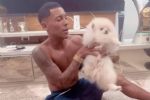 MC é investigado pela polícia após cachorro comer cigarro de maconha