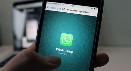 Conheça as novas funções do WhatsApp que podem facilitar difusão de fake news