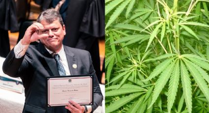 Tarcísio Freitas surpreende com decisão favorável à cannabis em SP