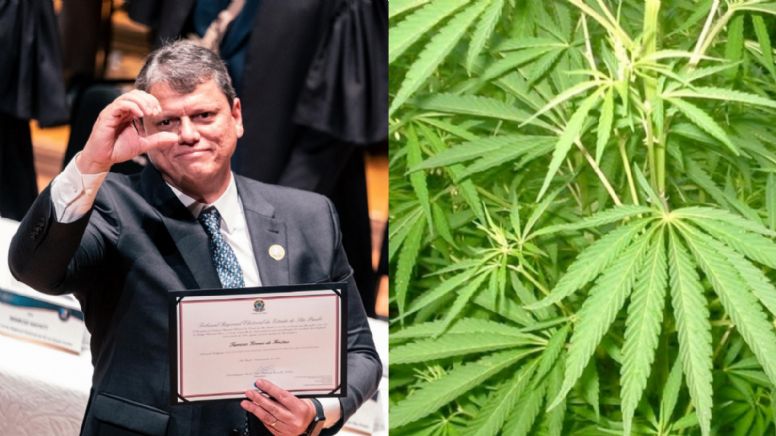 Tarcísio Freitas surpreende com decisão favorável à cannabis em SP