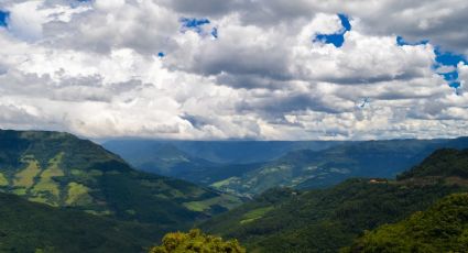 Restauração de áreas degradadas na Mata Atlântica: Uma prioridade para o Brasil e o mundo