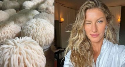 Cogumelo Juba de Leão? Isso mesmo! Gisele Bündchen diz que esse é seu segredo