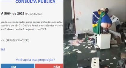 Consulta pública sobre anistia para golpistas vira disputa entre direita e esquerda; veja como votar