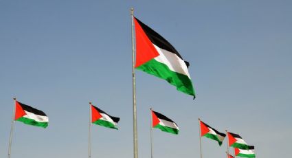 Eu apoio a Palestina