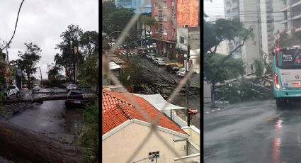 Temporal deixa três mortos em SP, gera caos e falta de energia já dura mais de 15 horas