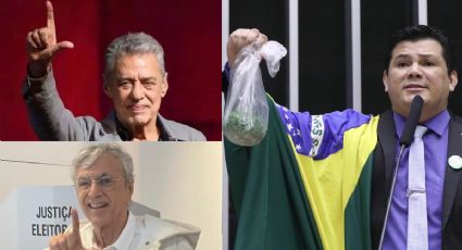 Chico e Caetano processam bolsonarista que criou fake news: fumam maconha nas mansões em Miami