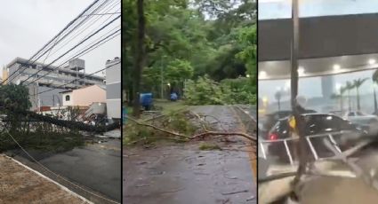 VÍDEOS IMPRESSIONANTES: Teto de shopping desaba e Ibirapuera é interditado por temporal em SP