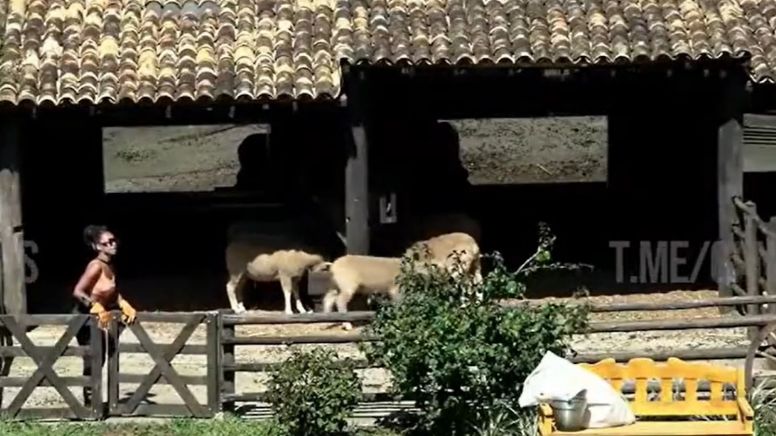 A Fazenda: participante tenta fugir do programa e deixa confinados em pânico