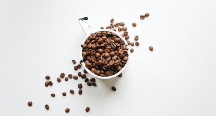 Você toma muito café? Psiquiatra alerta para riscos e indica quantidade ideal