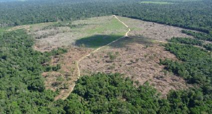 Governo entra com ação contra a Justiça do PA por danos climáticos causados na Amazônia