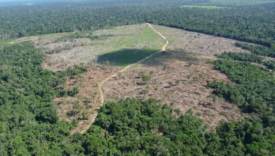 Governo entra com ação contra a Justiça do PA por danos climáticos causados na Amazônia