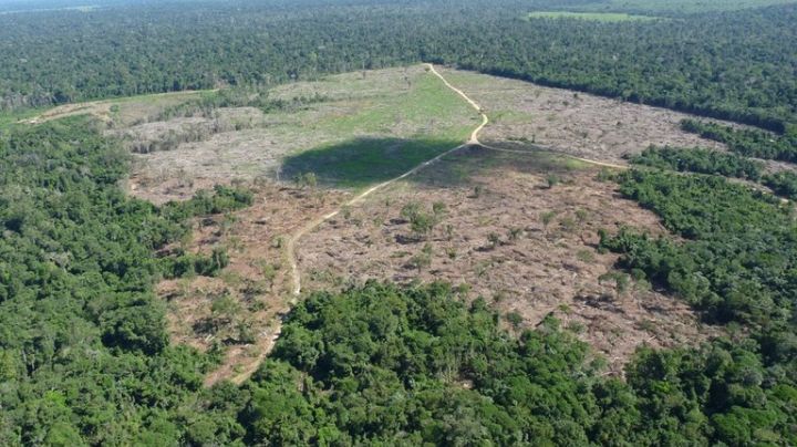 Governo entra com ação contra a Justiça do PA por danos climáticos causados na Amazônia