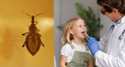 SUS volta a oferecer medicamento contra Doença de Chagas após oito anos