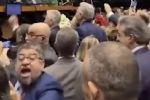 Tapa de Quaquá: Bolsonarista apresenta PL para dar porte de arma a parlamentares