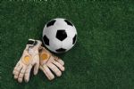 Goleiro de Copa do Mundo ameaça vizinho com motosserra e terá de pagar multa milionária