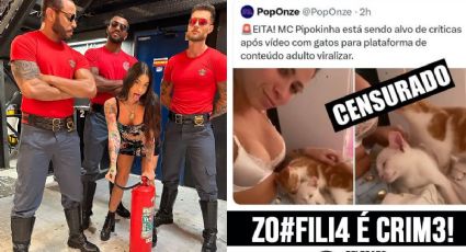 Deputado fala em prisão preventiva de MC Pipokinha por vídeo erótico com animais: crime de zoofilia