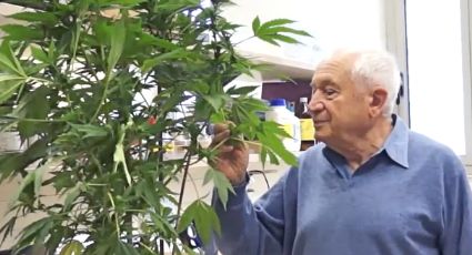 Morre Raphael Mechoulam, sobrevivente do holocausto e pai da maconha medicinal