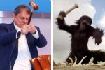VÍDEO: Tarcísio de Freitas é comparado ao primata do filme 2001 ao bater martelo em leilão