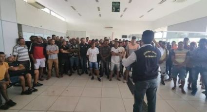 Operação do Ministério do Trabalho resgata 212 trabalhadores escravizados