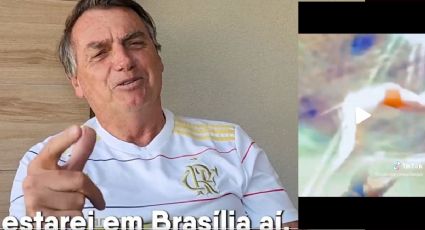 Bolsonaro divulga vídeo nadando com jacaré e revela "uma das missões" ao chegar ao Brasil