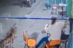 VÍDEO: Homem agride mulher em bar e é surrado por ela