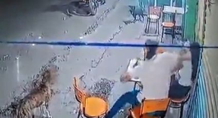 VÍDEO: Homem agride mulher em bar e é surrado por ela