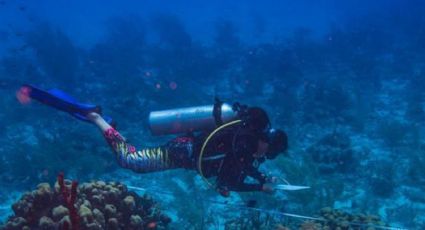 ONU consegue acordo para proteção da biodiversidade marinha em águas internacionais