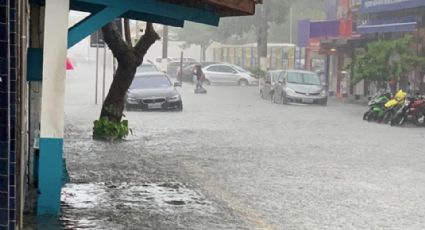 Fundação Perseu Abramo realiza curso “Emergência Climática e Trabalho”