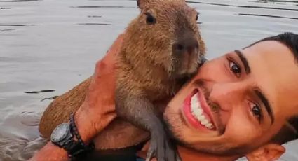 Multa ao "influenciador da capivara" é injusta? Ibama detalha motivos da autuação