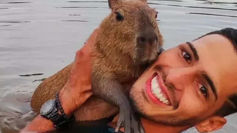 Multa ao "influenciador da capivara" é injusta? Ibama detalha motivos da autuação