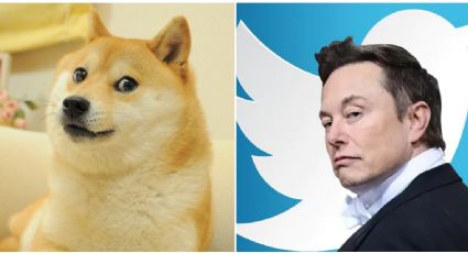 Por que Elon Musk trocou a logo do Twitter pelo meme do cachorro e quais os efeitos da mudança