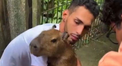 VÍDEO: capivara Filó é devolvida ao influencer Agenor Tupinambá e volta para casa