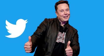 Elon Musk deixa cargo e anuncia CEO mulher no Twitter