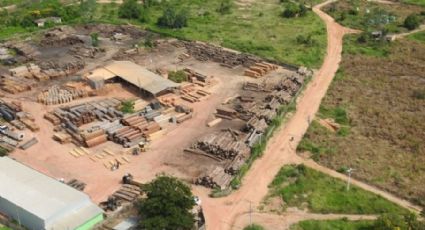 PF retira madeireiros da Terra Indígena Karipuna, em Rondônia