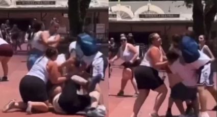 VÍDEOS: Discussão termina em pancadaria generalizada em parque da Disney