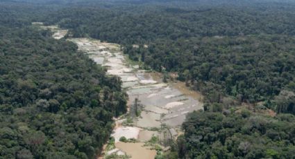 Pará: Juiz teme pela própria vida após contrariar garimpo em decisão