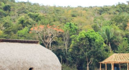 Como gigantes do agro mantiveram relações comerciais com produtores irregulares em Terras Indígenas