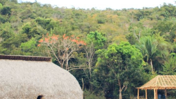 Como gigantes do agro mantiveram relações comerciais com produtores irregulares em Terras Indígenas