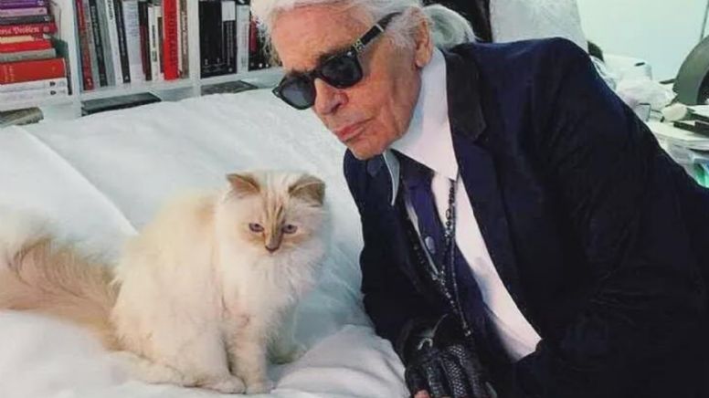 MET GALA: Saiba o motivo do boicote de algumas celebridades ao evento